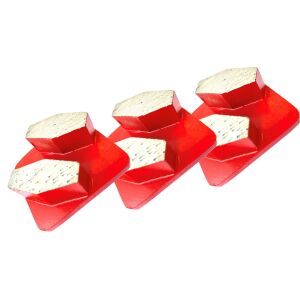 Bodenschleifmaschine BS 250 mit Schleifschuh Set für Beton /  2 Blocksegmente