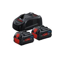 Starter-Set 2 x ProCORE18V 5.5Ah + GAL 1880 CV