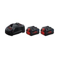 Starter-Set 2 x ProCORE18V 5.5Ah + GAL 1880 CV