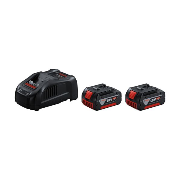 Starter-Set 2 x GBA 18V 5.0Ah + GAL 1880 CV