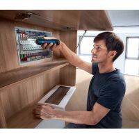 Bosch GO cordless screwdriver in storage case