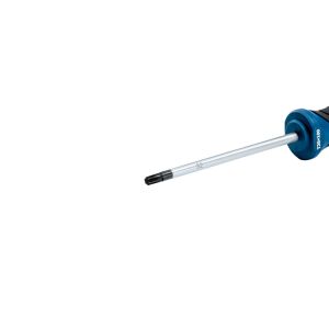 Screwdriver TX 25x100
