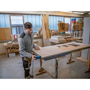 Schwingschleifer GSS 160 Multi
