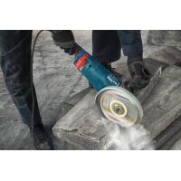Winkelschleifer GWS 24-230 JZ