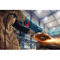 Winkelschleifer GWS 24-230 PZ