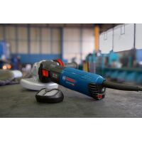 Winkelschleifer GWS 17-125 TS
